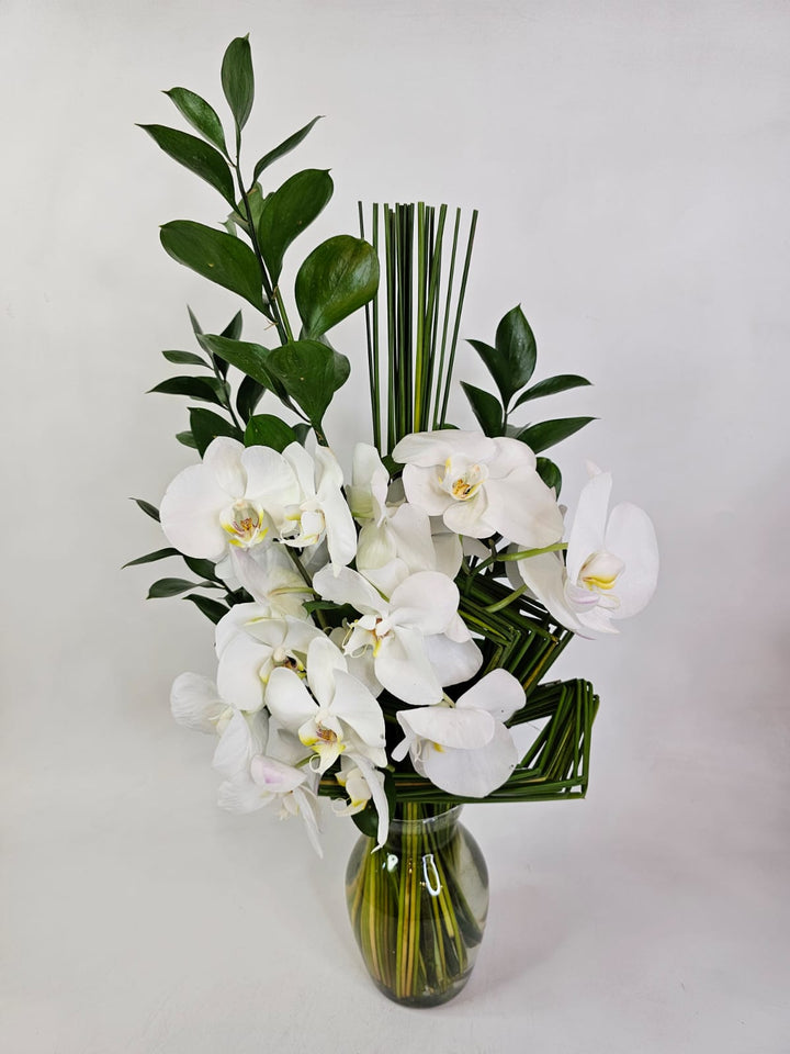 Arranjo de Orquídeas Brancas com Ruscus - Fato Paisagismo