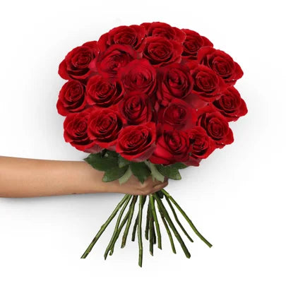 Buquê de 20 Rosas Vermelhas Veneza - Fato Paisagismo